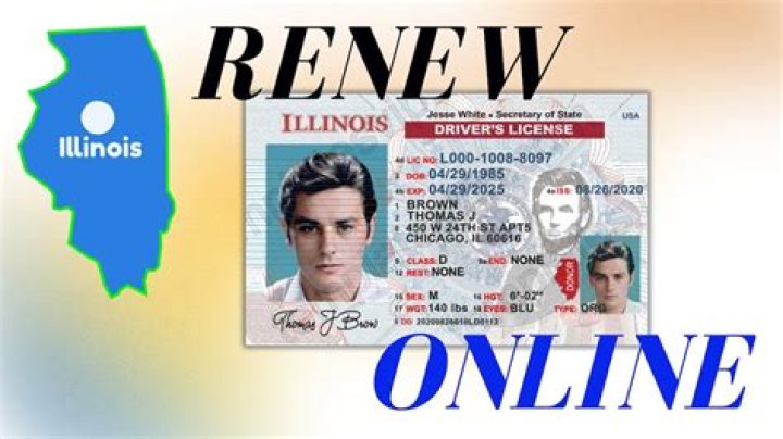 Illinois Professional Licenses: IDPFR Renewal & Lookup