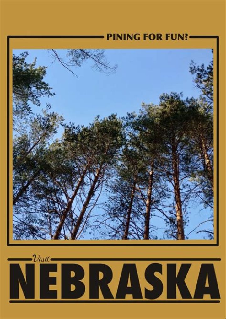 Pining for Kim by Tailblazer: Meaning & Origins