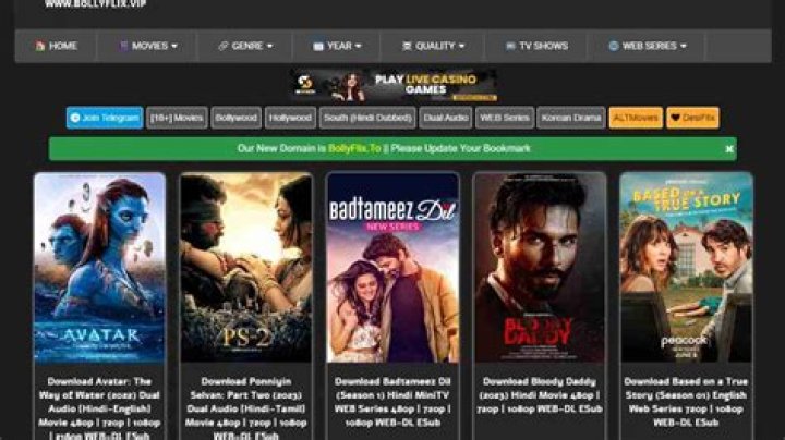 Watch Bollywood Movies Online | Bollyflix Streaming Guide